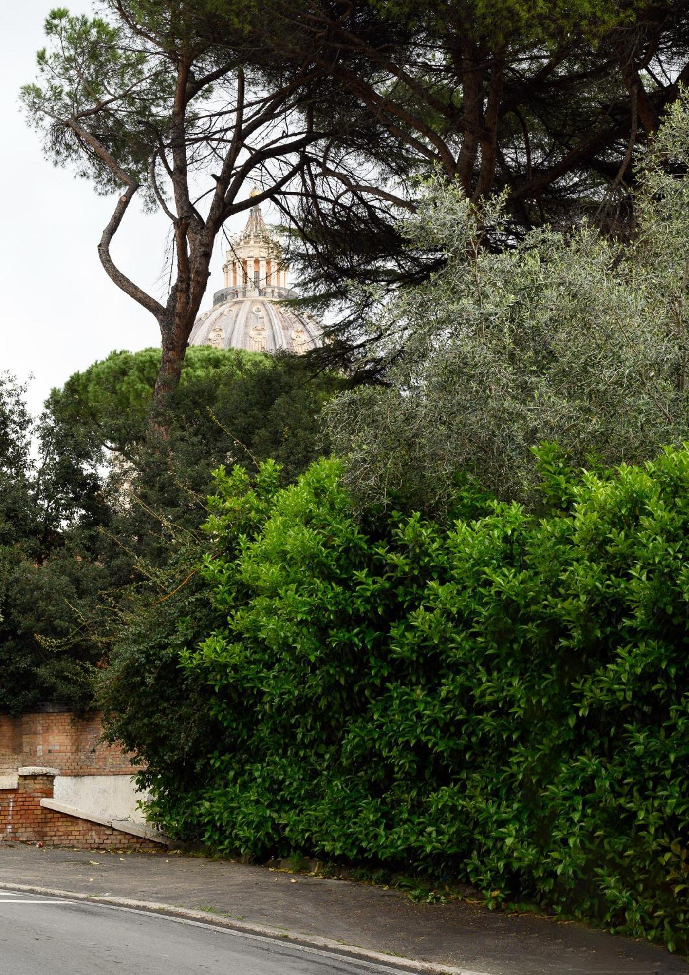 Magnoliahome Alla Cupola Di San Pietro Ρώμη Εξωτερικό φωτογραφία